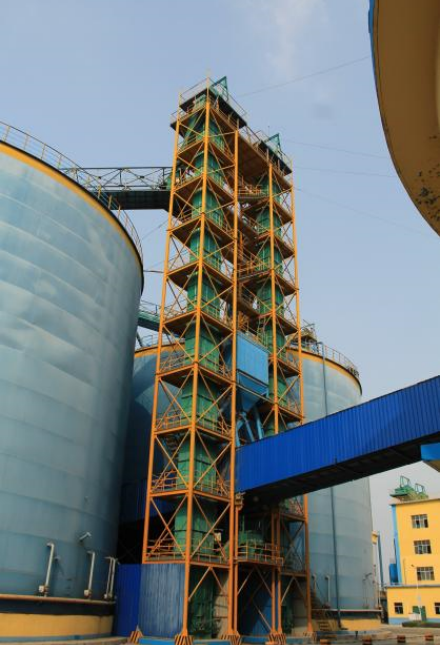 ���a(ch��n)5